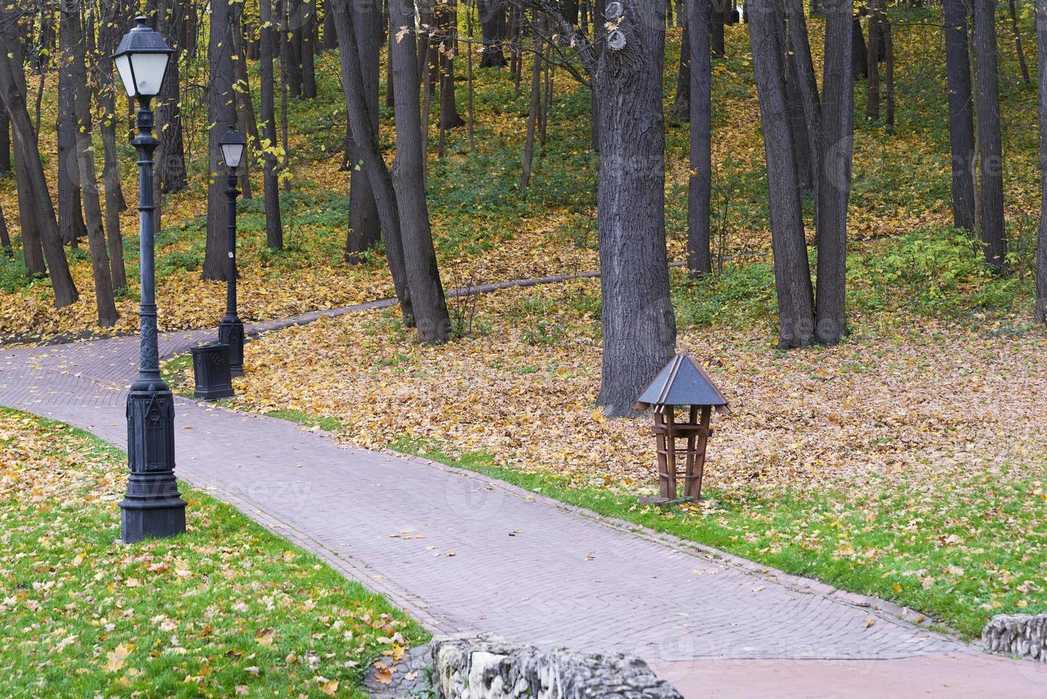Sunrise in autumn forest. Walking path in the Park autumn day photo