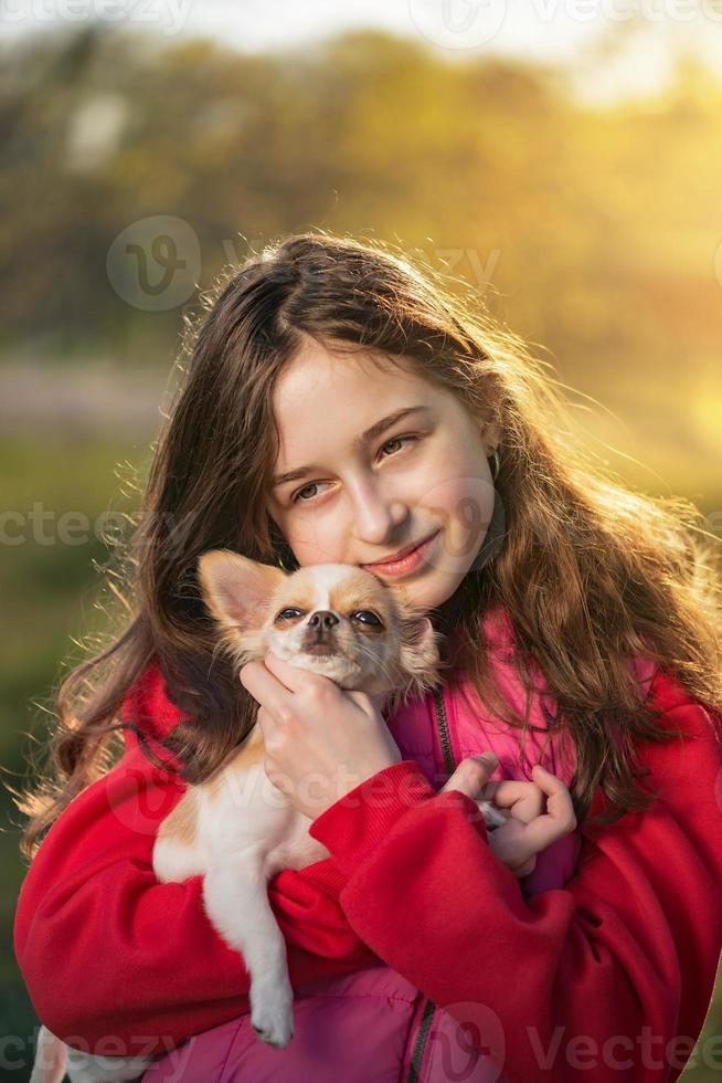 A teenager girl with a Chihuahua dog on the background of nature on a sunny day. Human and pet photo