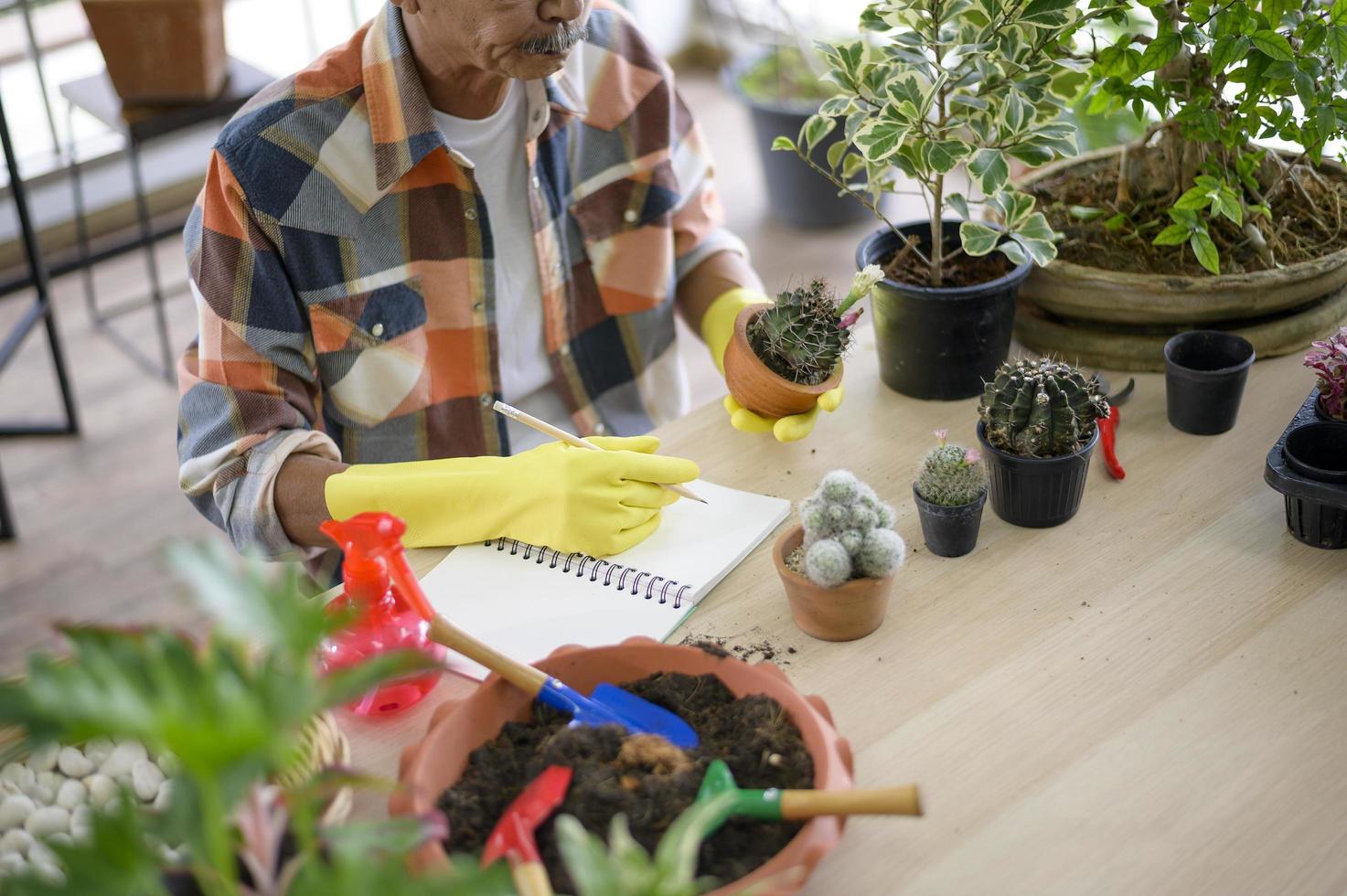 Happy senior asian retired man collecting data about cactus in garden at home. photo