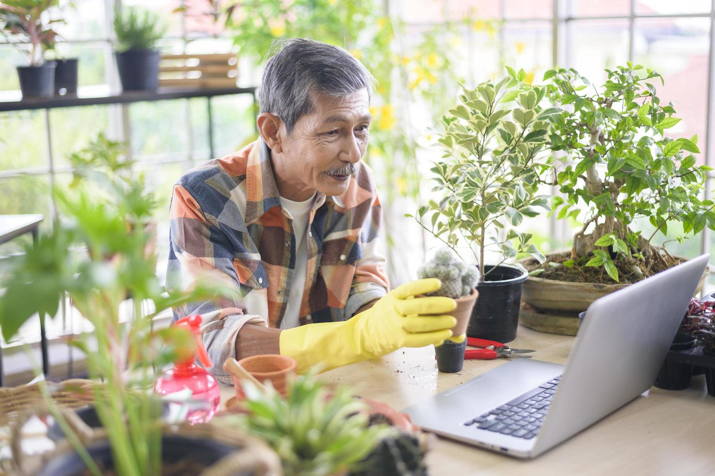 empresario senior que trabaja con una computadora portátil presenta plantas de interior durante la transmisión en vivo en línea en casa, vendiendo concepto en línea foto