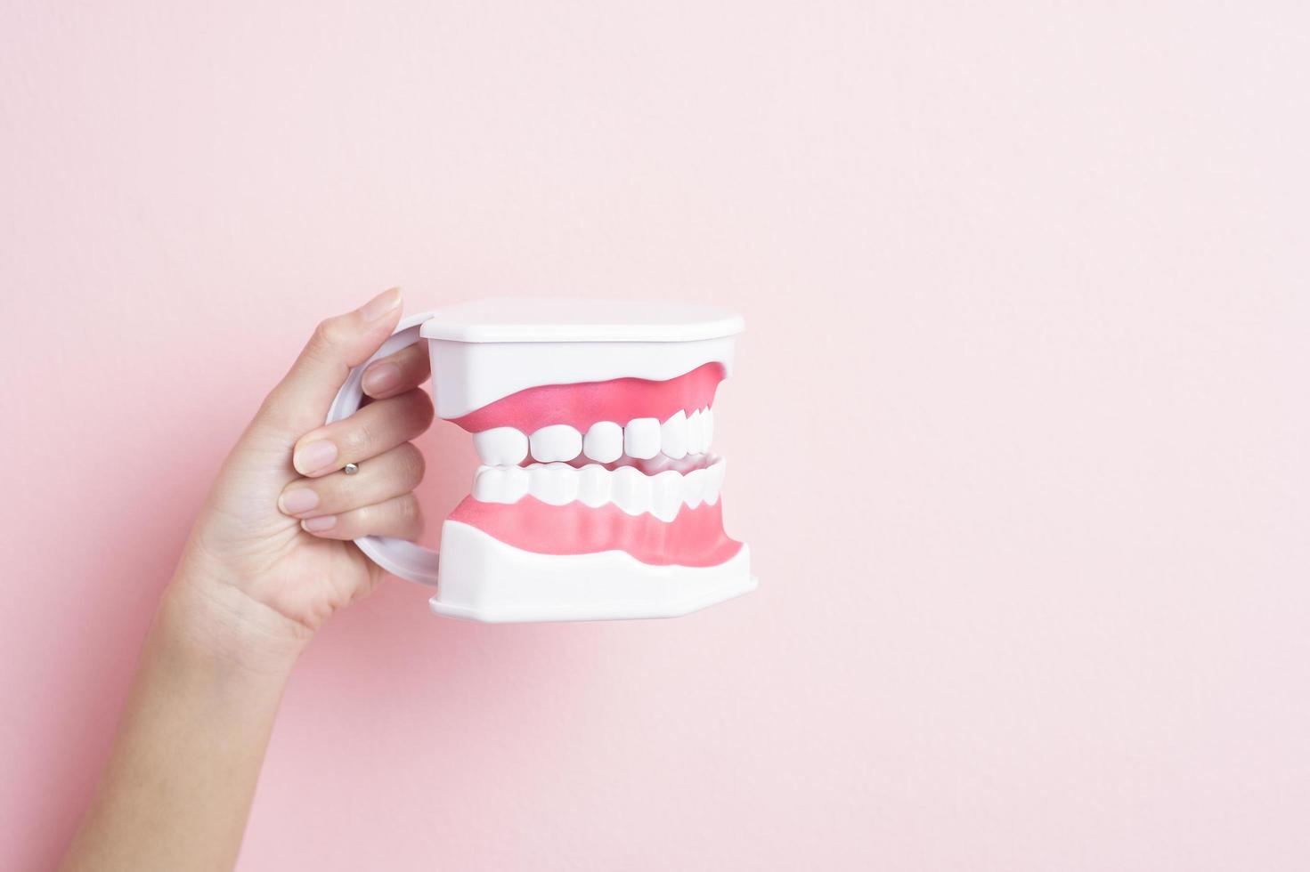 El primer plano de la mano de una mujer sostiene dientes modelo artificiales para demostración de limpieza dental foto