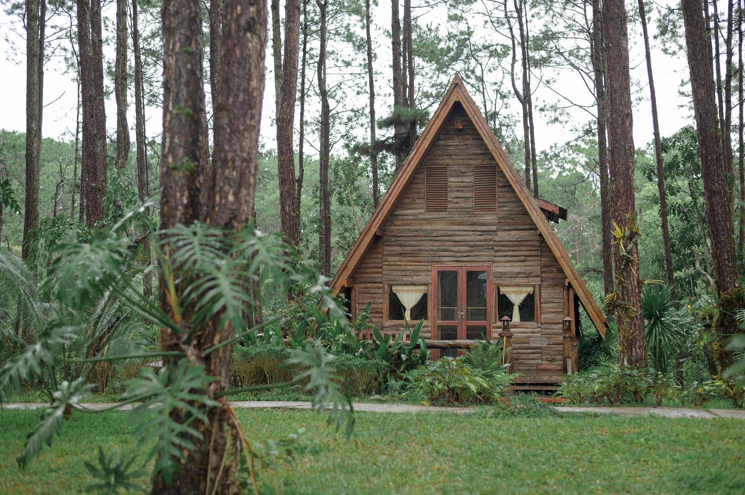 A wooden a-frame country house photo