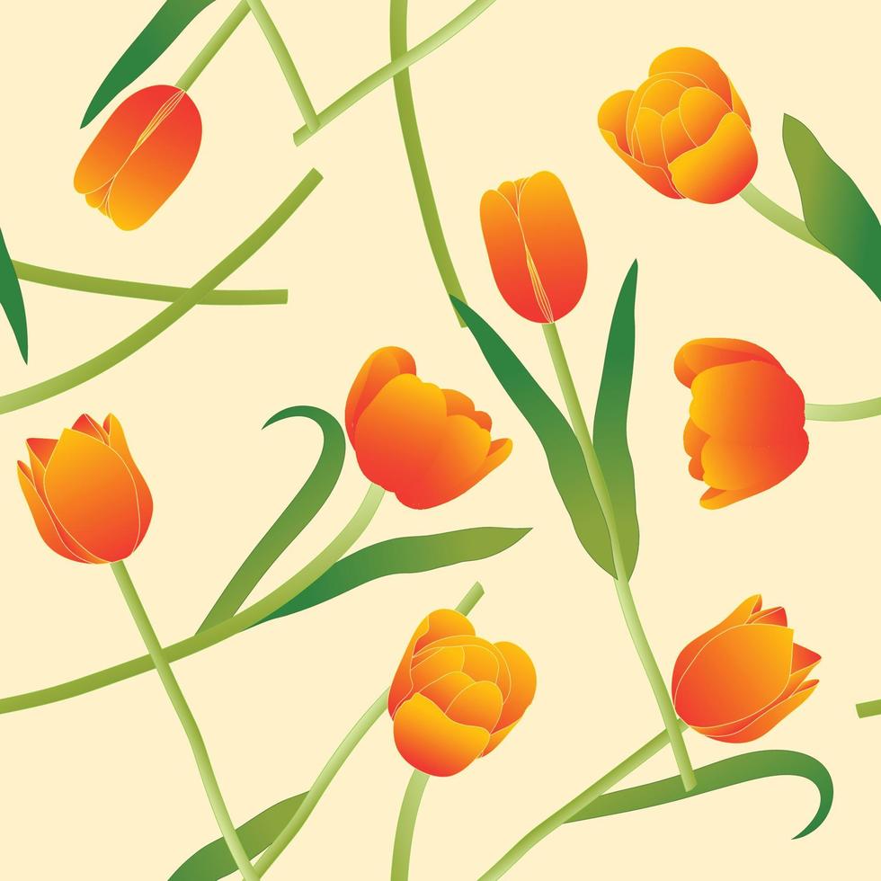 Orange Tulip on Beige Ivory Background. Vector Illustration