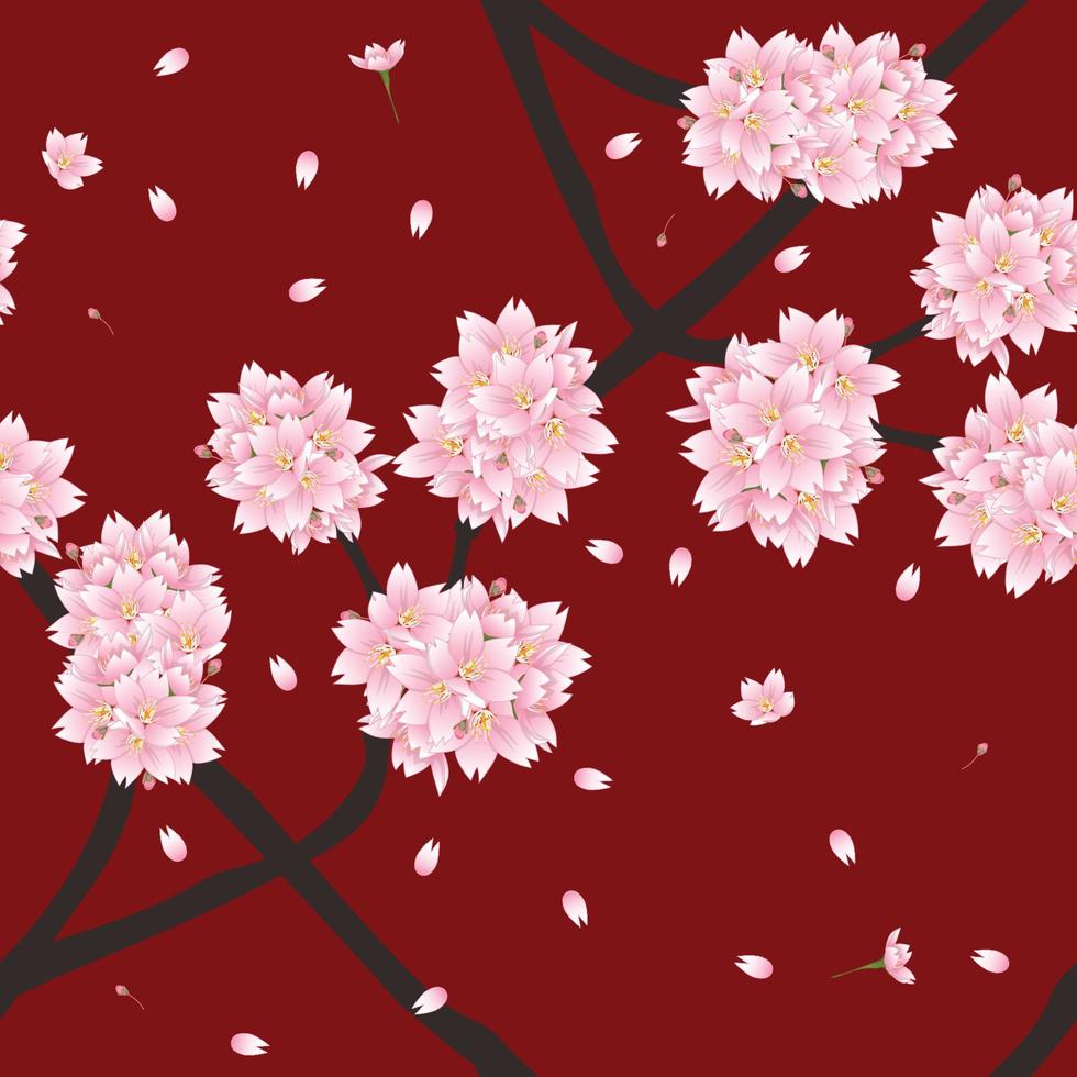 Sakura Cherry Blossom Flower on Red Background vector