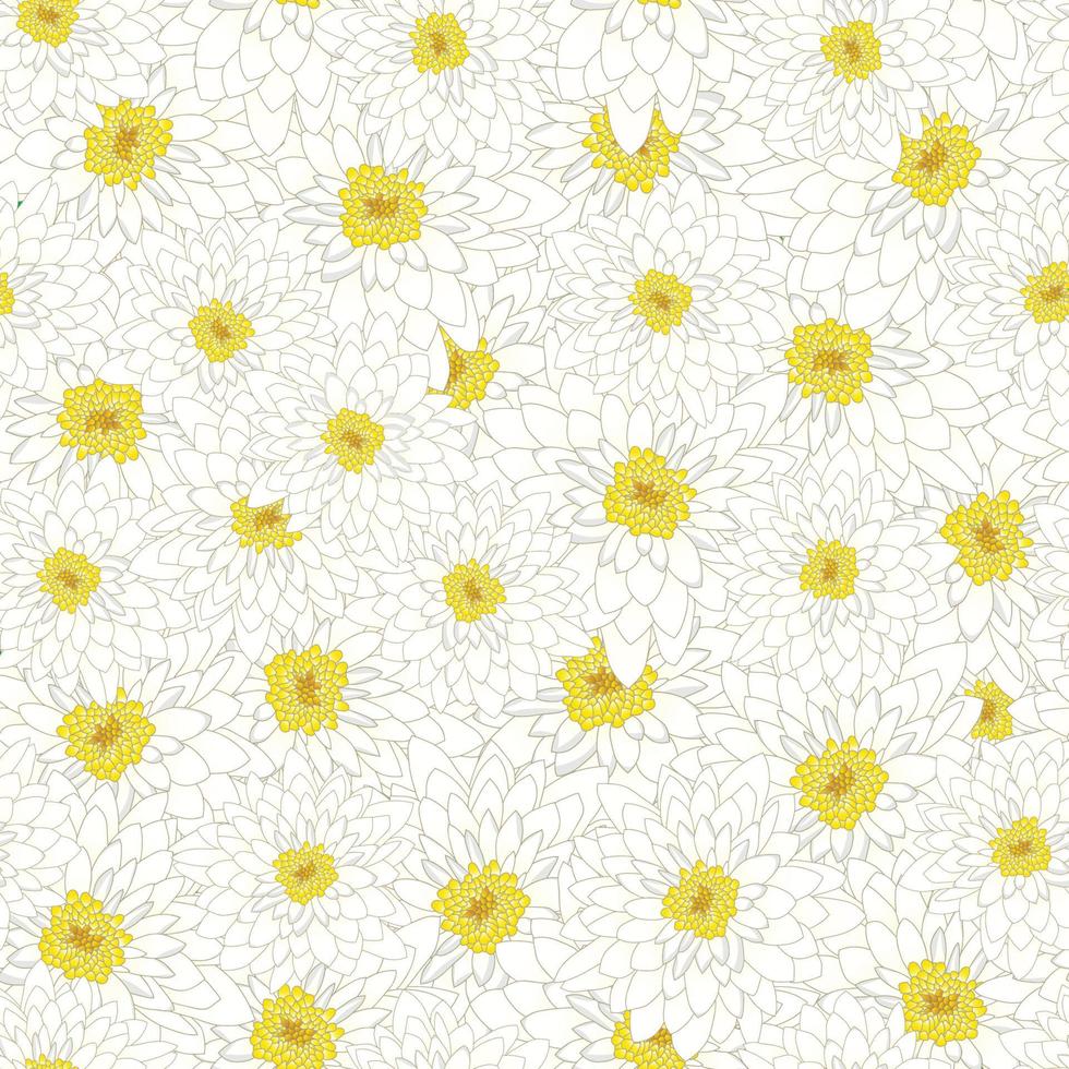 White Chrysanthemum Seamless Background vector