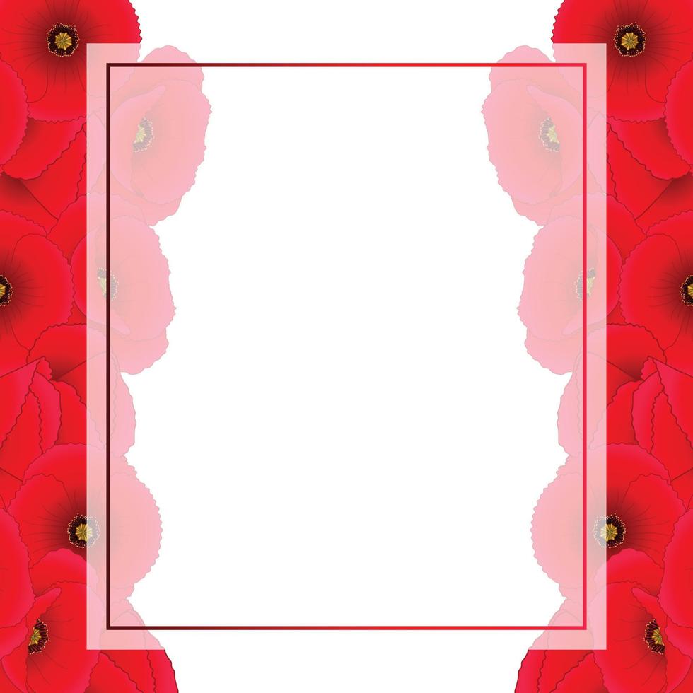 Red Corn Poppy Banner Card Border vector