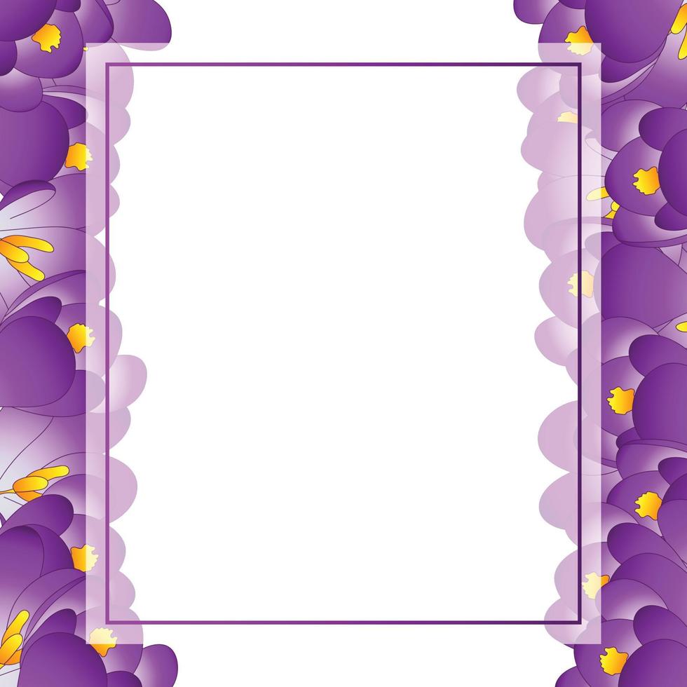 borde de tarjeta de banner de flor de azafrán púrpura vector