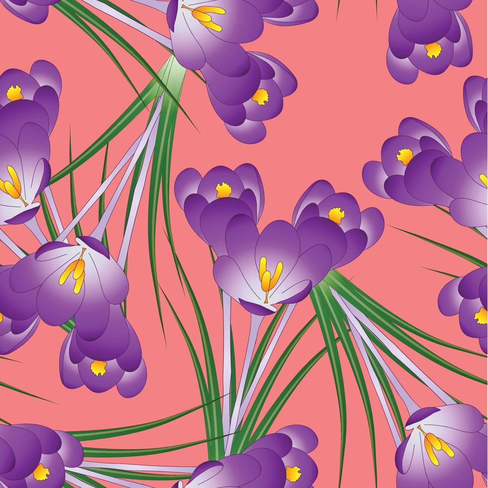 Purple Crocus Flower on Orange Red Background vector