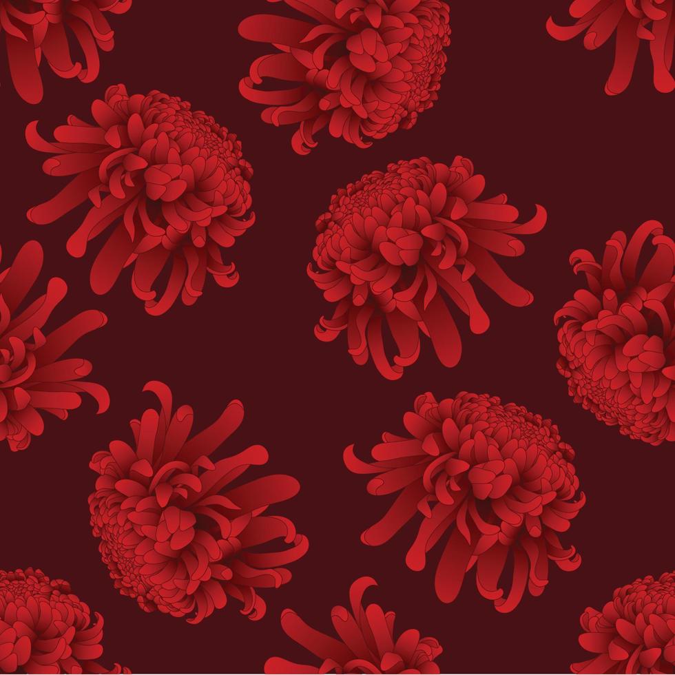 Red Chrysanthemum Flower on Red Background vector