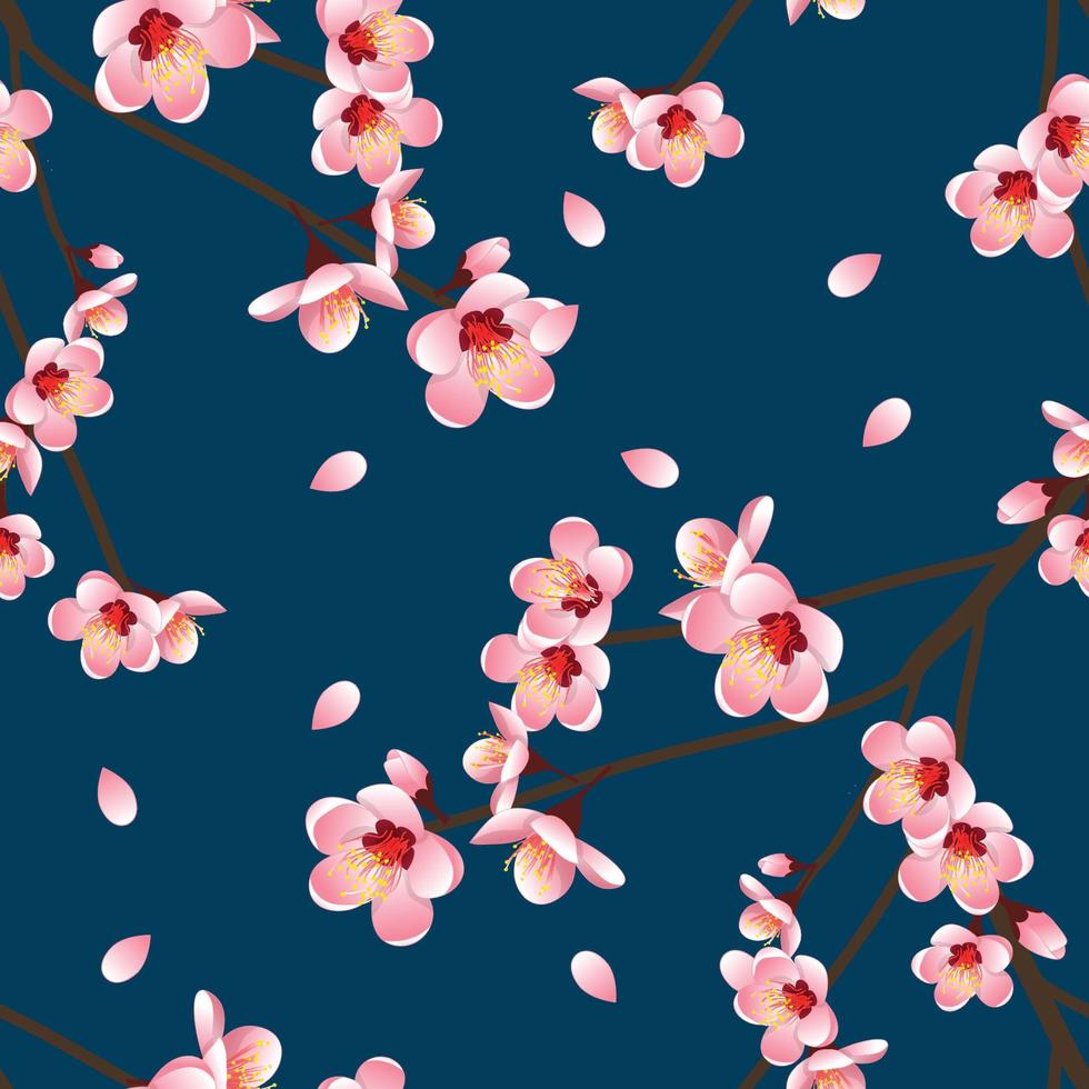 Prunus persica - Peach Flower Blossom on Indigo Blue Background. vector
