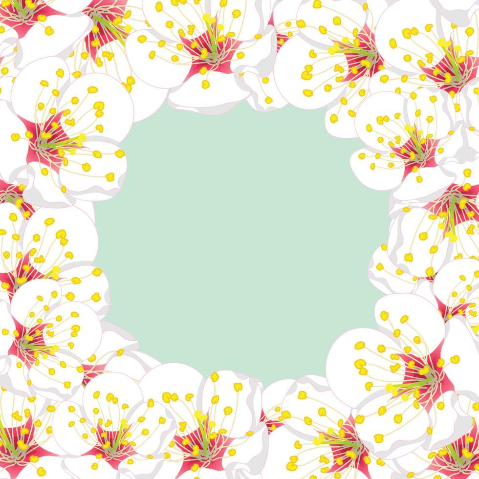 White Plum Blossom Flower Border on Green Mint2 vector