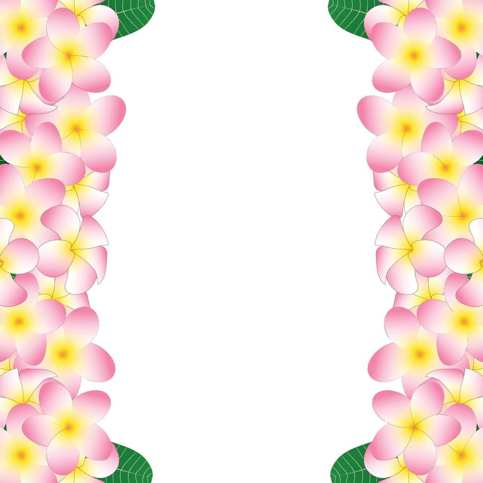 Pink Plumeria Border vector