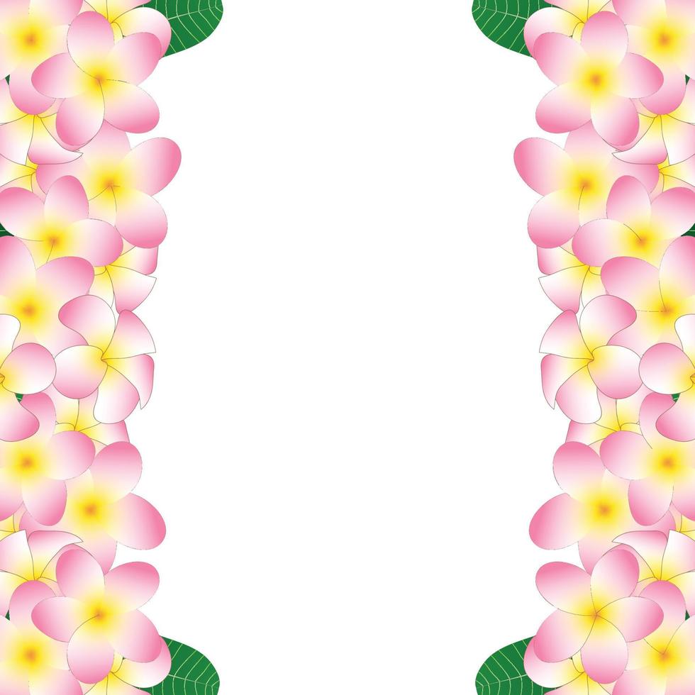 Pink Plumeria Border vector