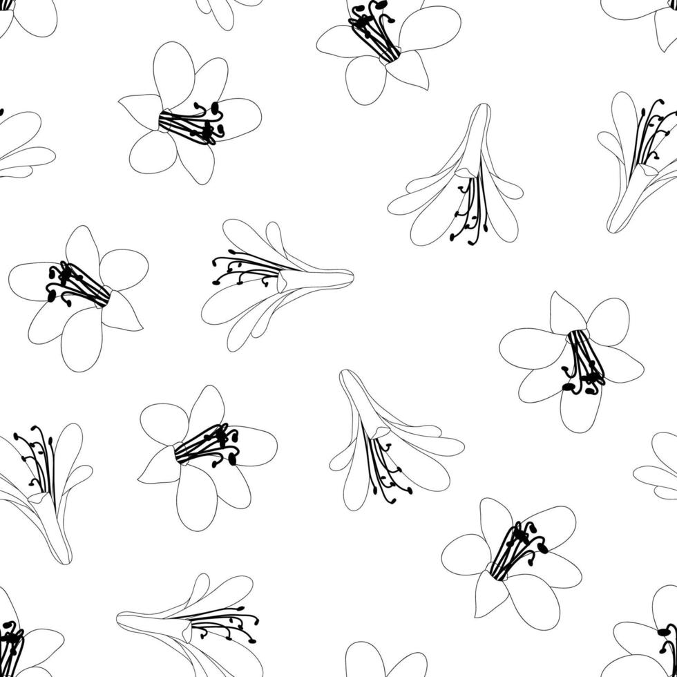 fondo transparente de flor de agapanto vector