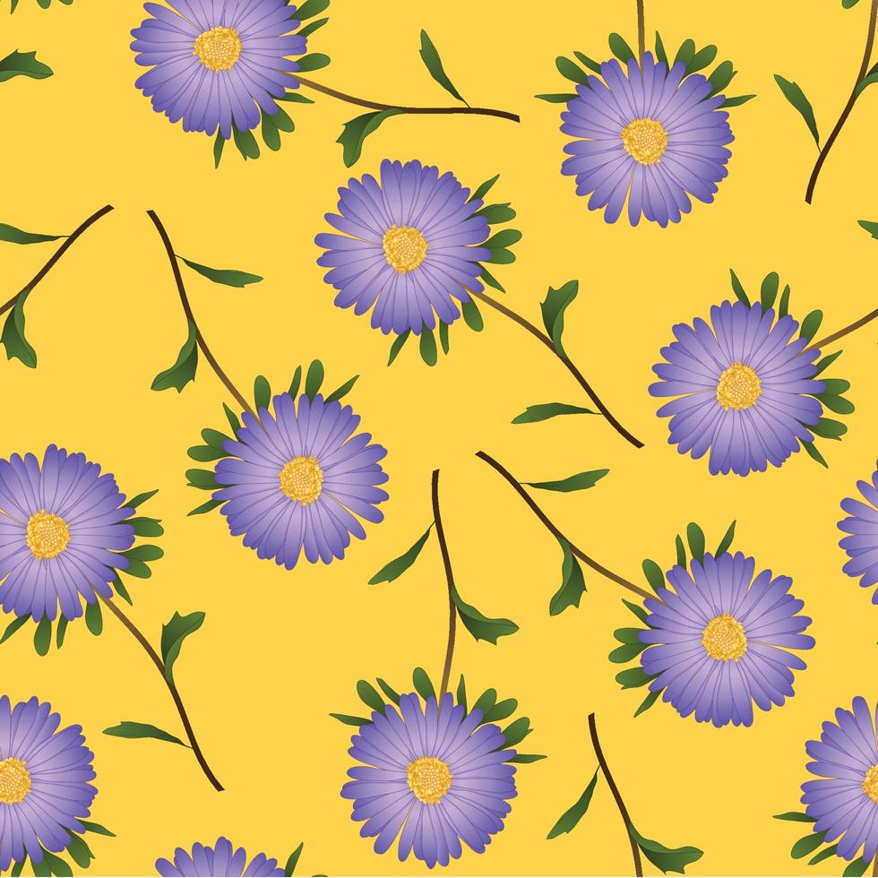 Purple Aster, Daisy on Yellow Background vector