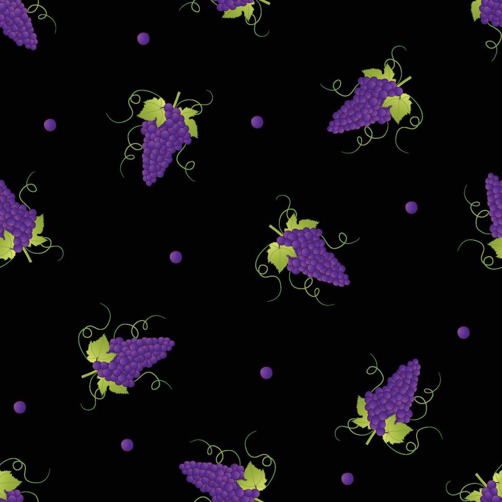 Pueple Grape on Black Background. vector