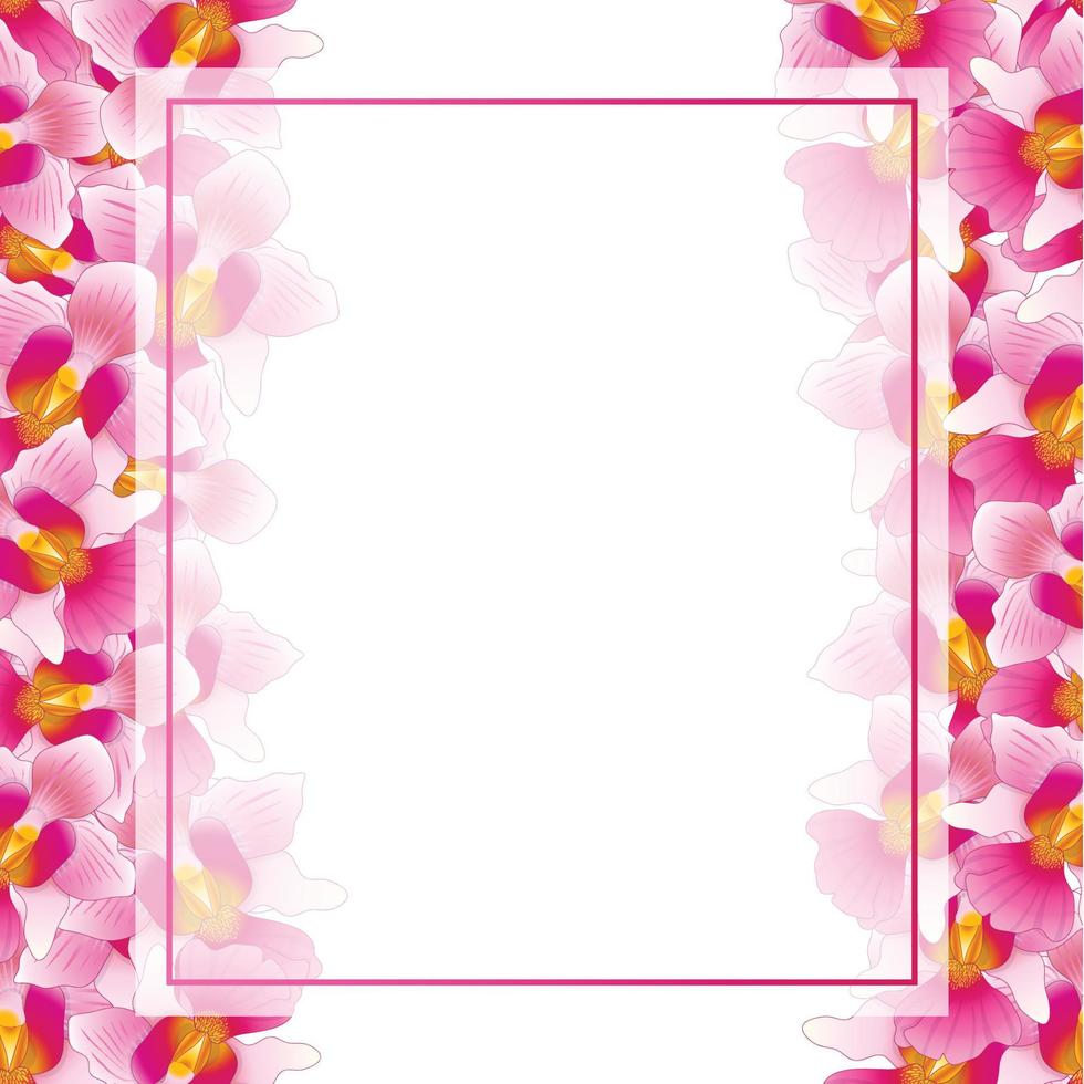 rosa vanda miss joaquim orquídea banner tarjeta borde vector