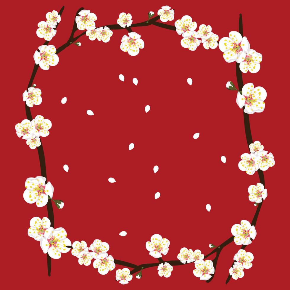 White Plum Blossom Flower Border on Red Background2 vector