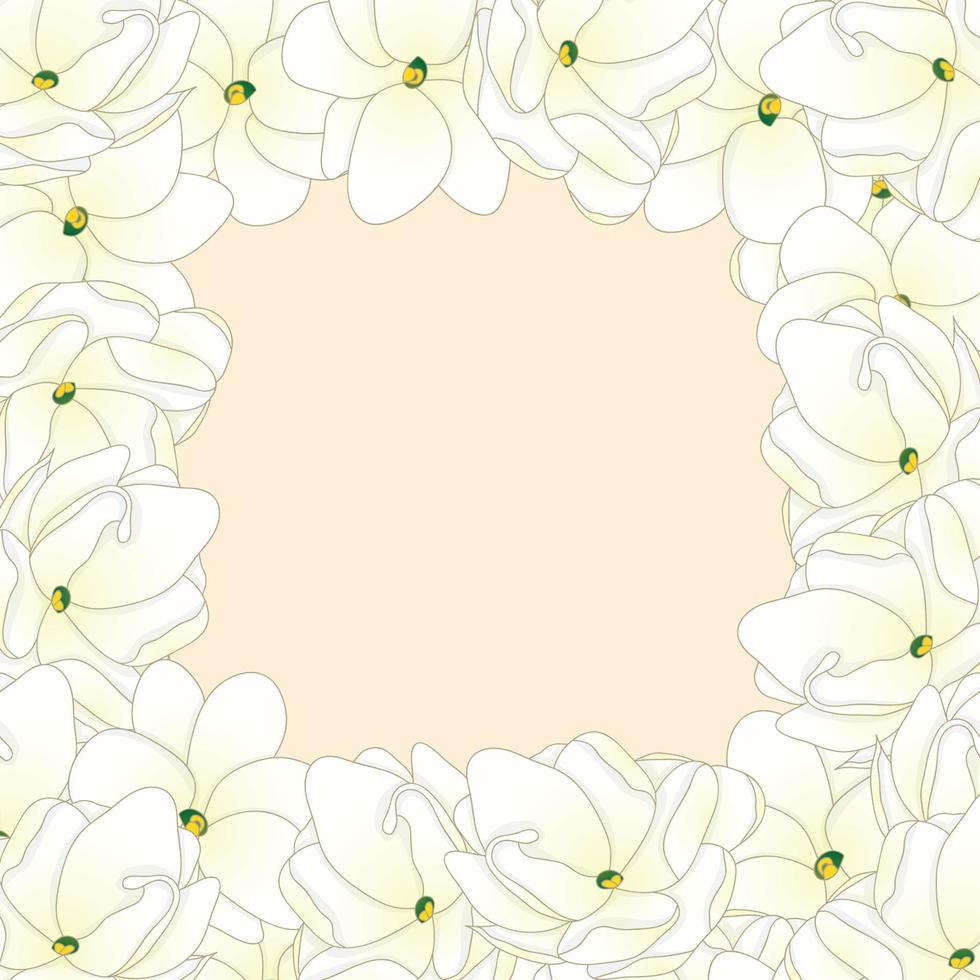 Arabian Jasmine Border vector