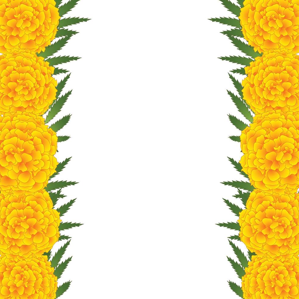 Marigold Flower - Tagetes Border vector