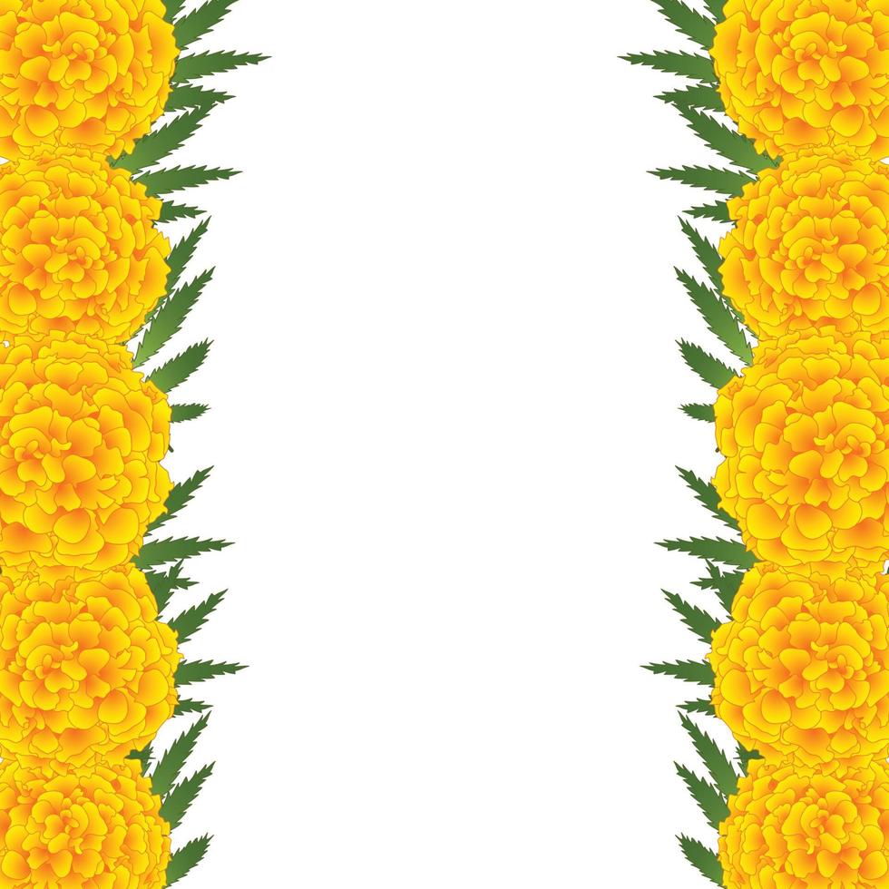 Marigold Flower - Tagetes Border vector