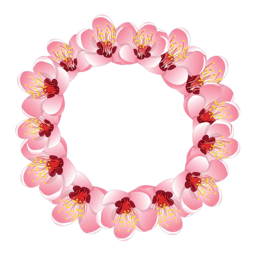 Momo Peach Flower Blossom Wreath vector