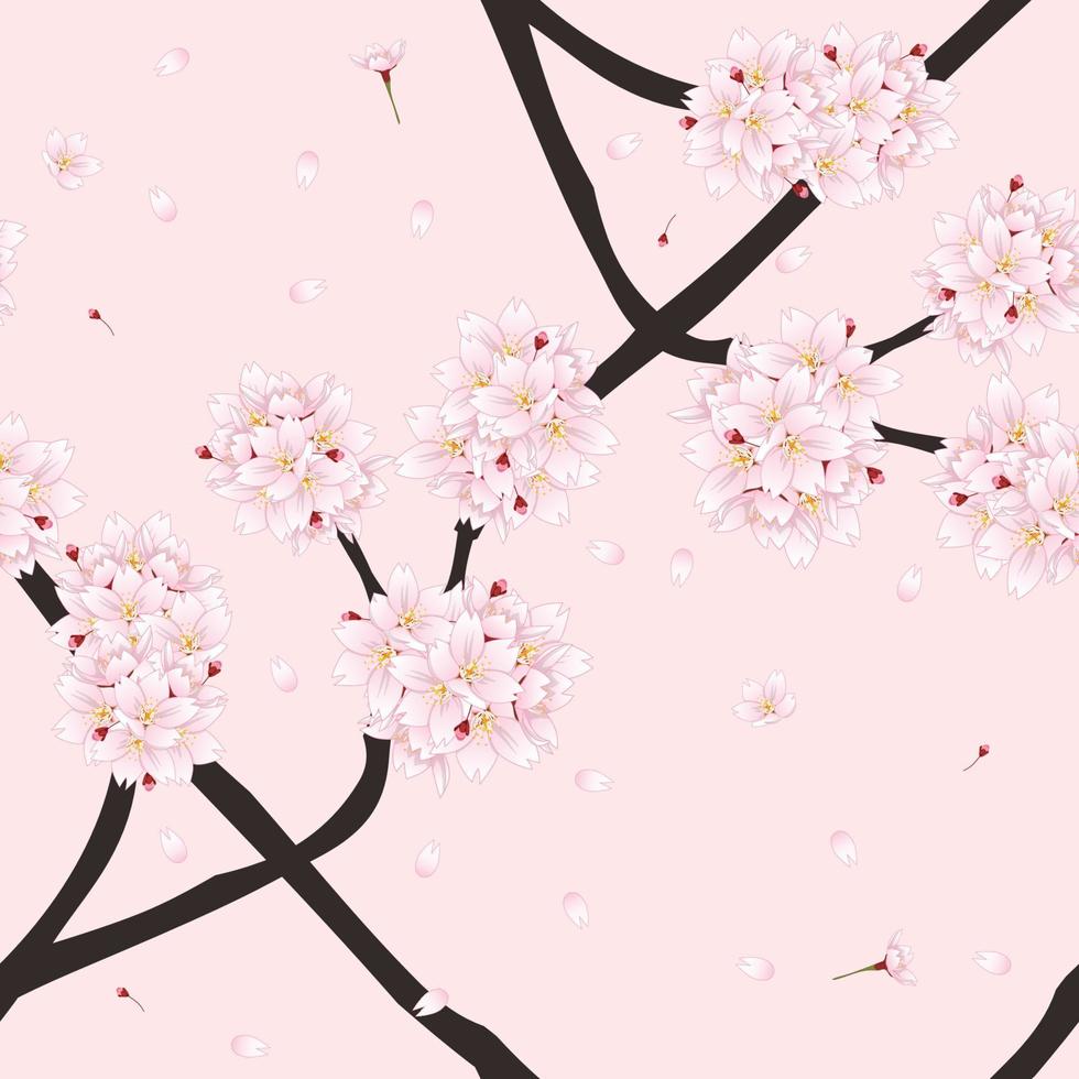 flor de cerezo de sakura sobre fondo rosa claro vector