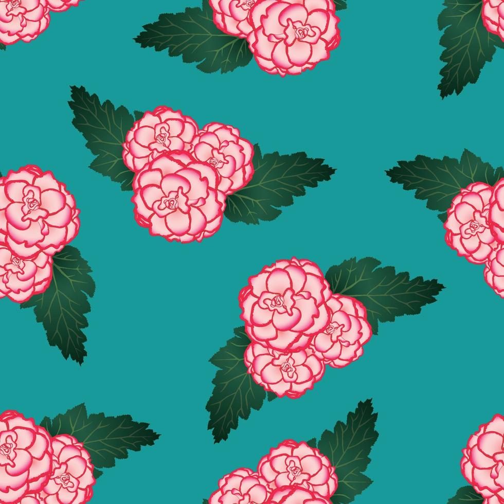 Pink Begonia Flower, Picotee First Love on Green Teal Background vector