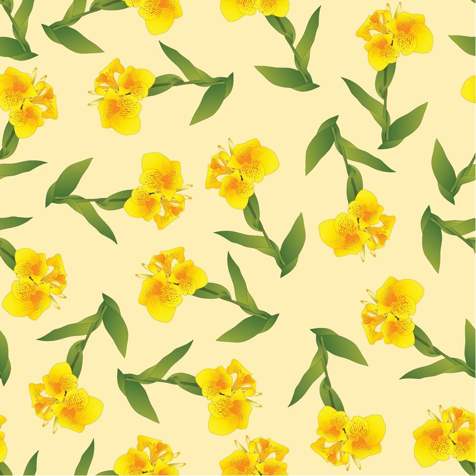 Yellow Canna lily on Ivory Beige Background vector