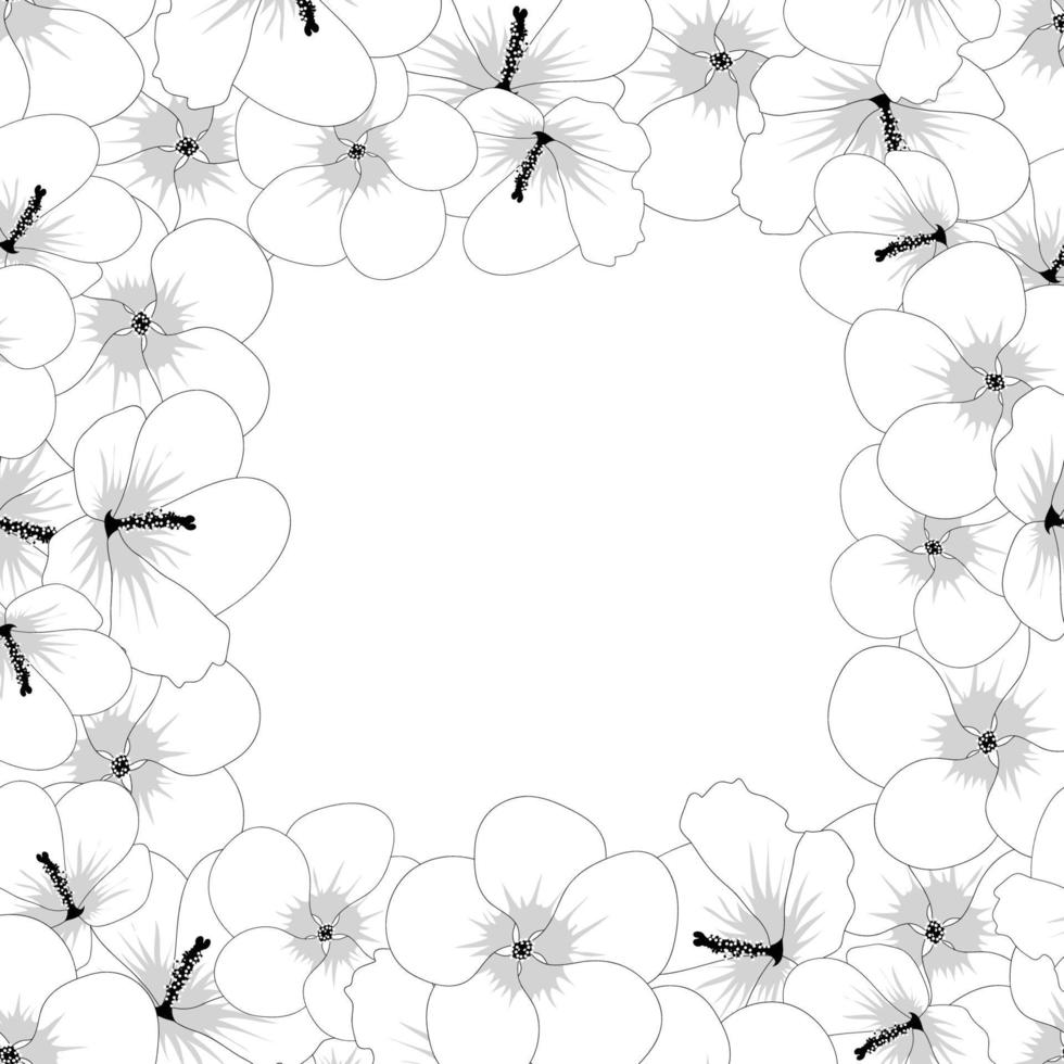 contorno de flor de hibisco syriacus - rosa de sharon border2 vector