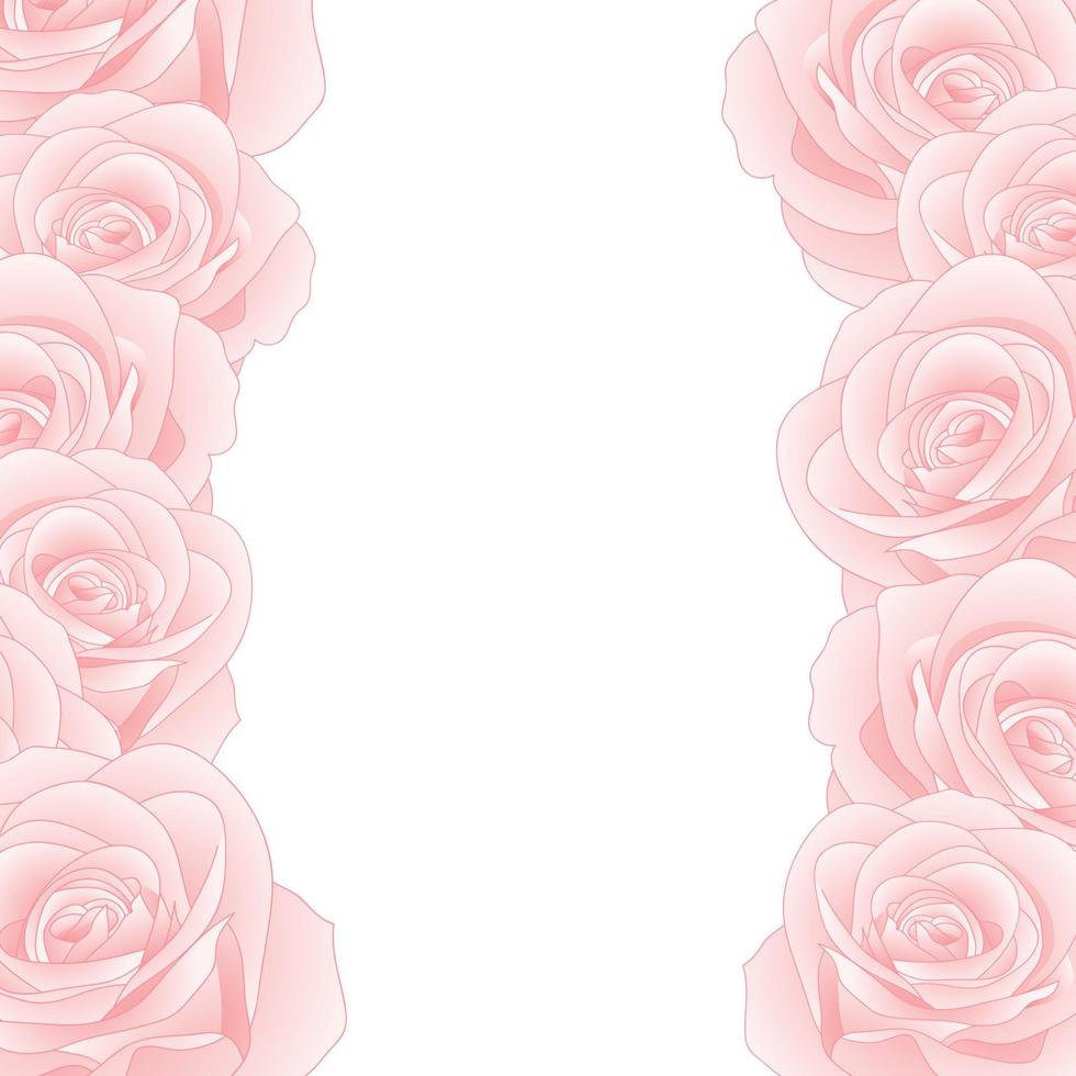 Pink Rose Border vector