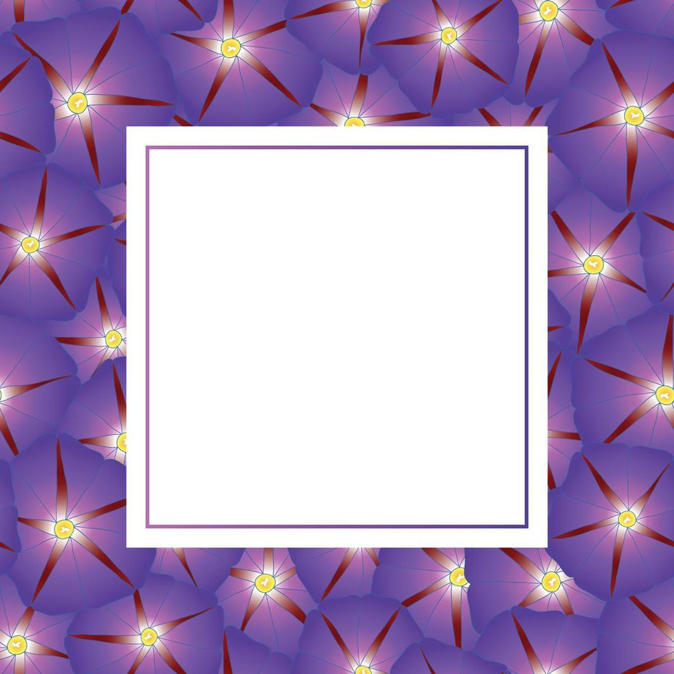 Purple Morning Glory Flower Banner Card vector