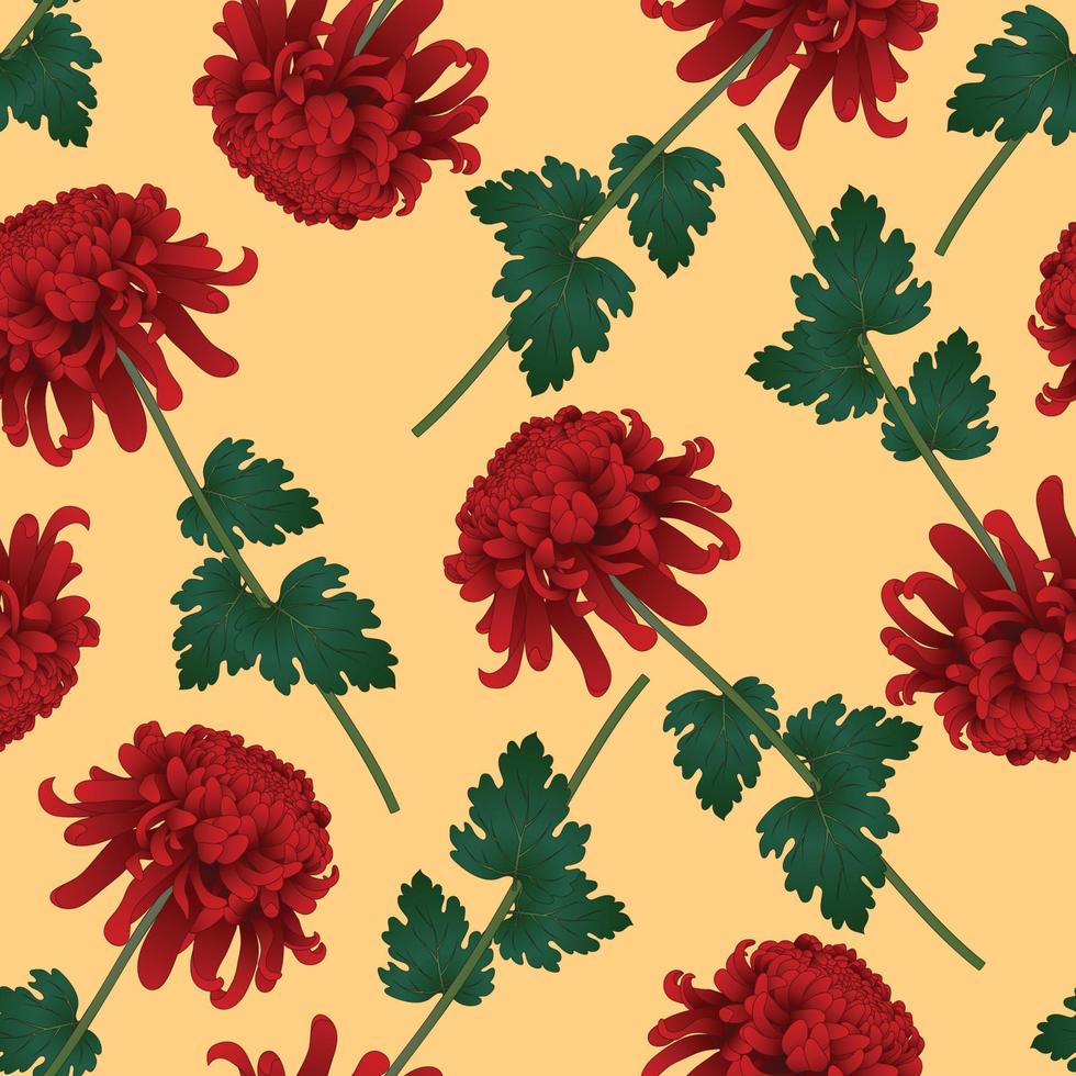 Red Chrysanthemum Flower on Yellow Background vector