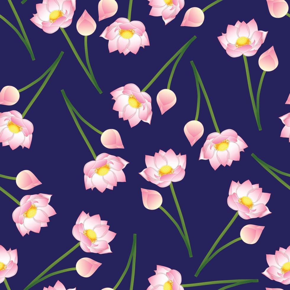 Pink Indian lotus on Navy Blue Background vector