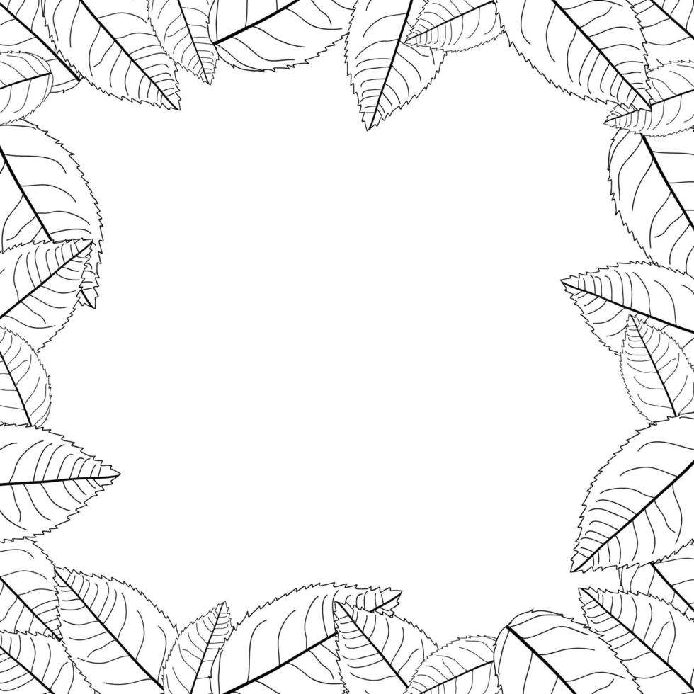 Camellia Leaves Outline Frame Border vector