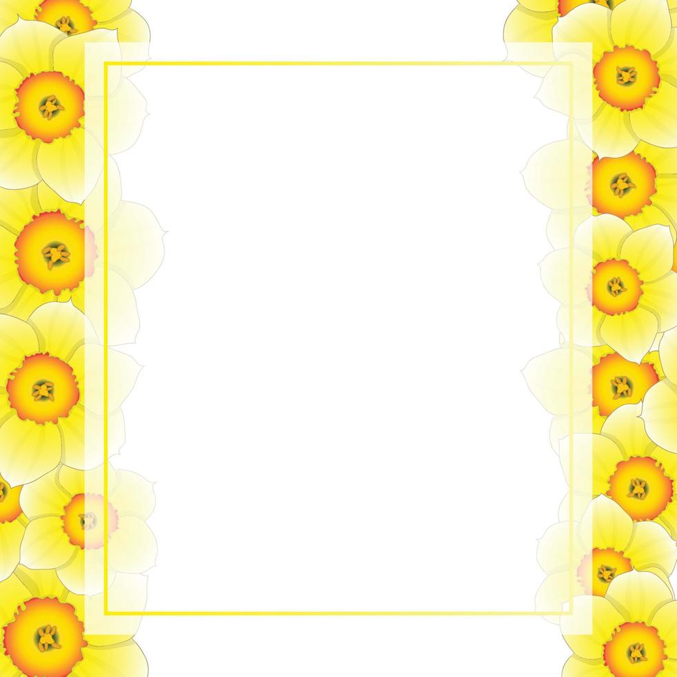Yellow Daffodil - Narcissus Flower Banner Card Border vector