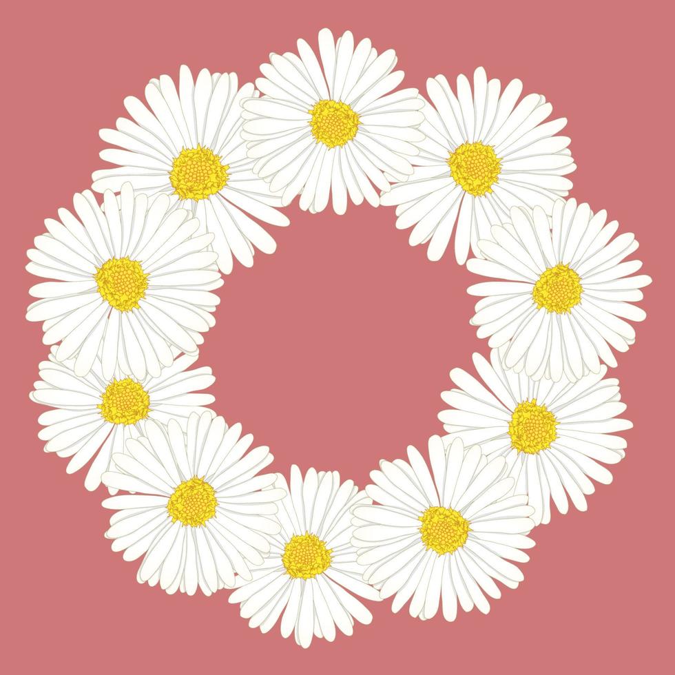 White Aster, Daisy Flower Wreath vector