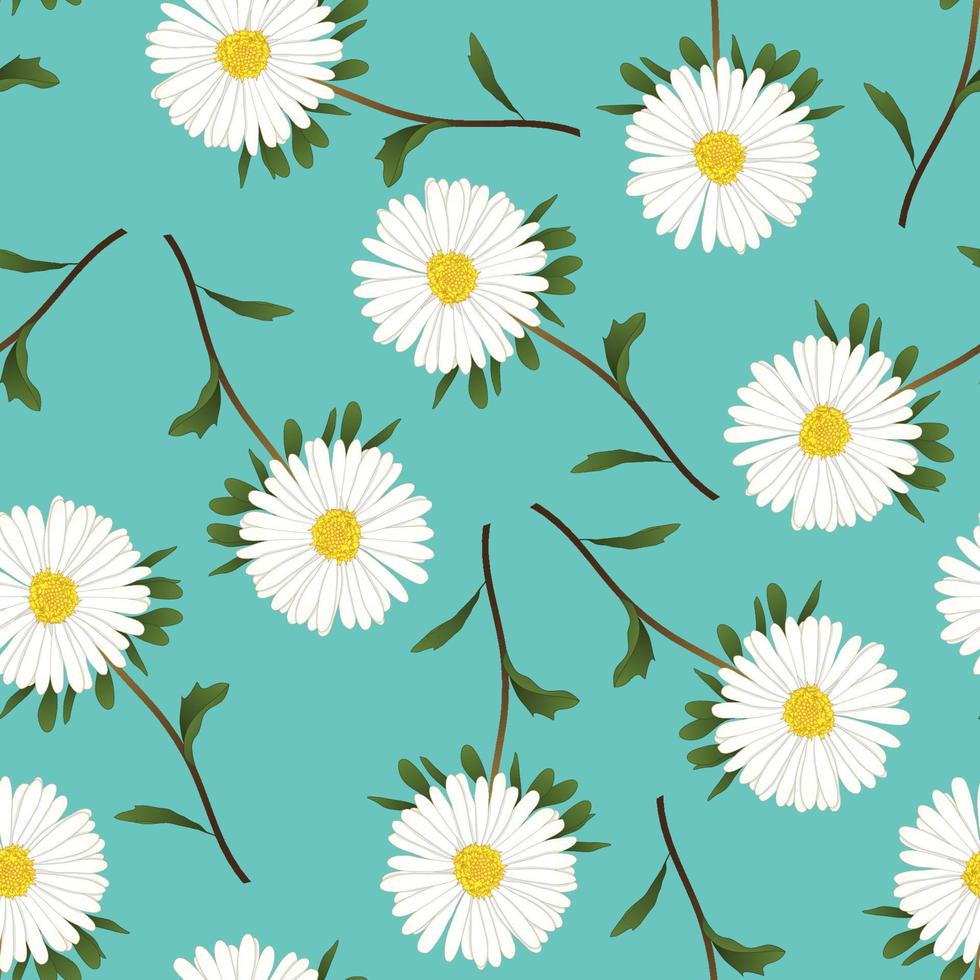 White Aster, Daisy on Green Teal Background vector
