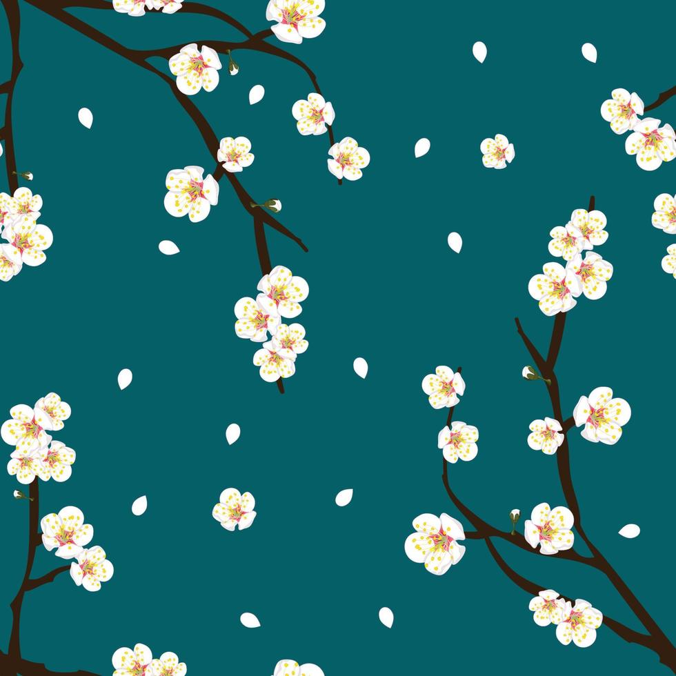 Plum Blossom Flower on Indigo Blue Background vector