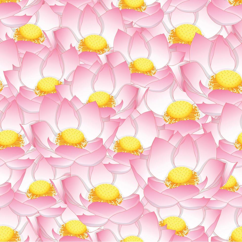 Pink Indian lotus Seamless Background vector