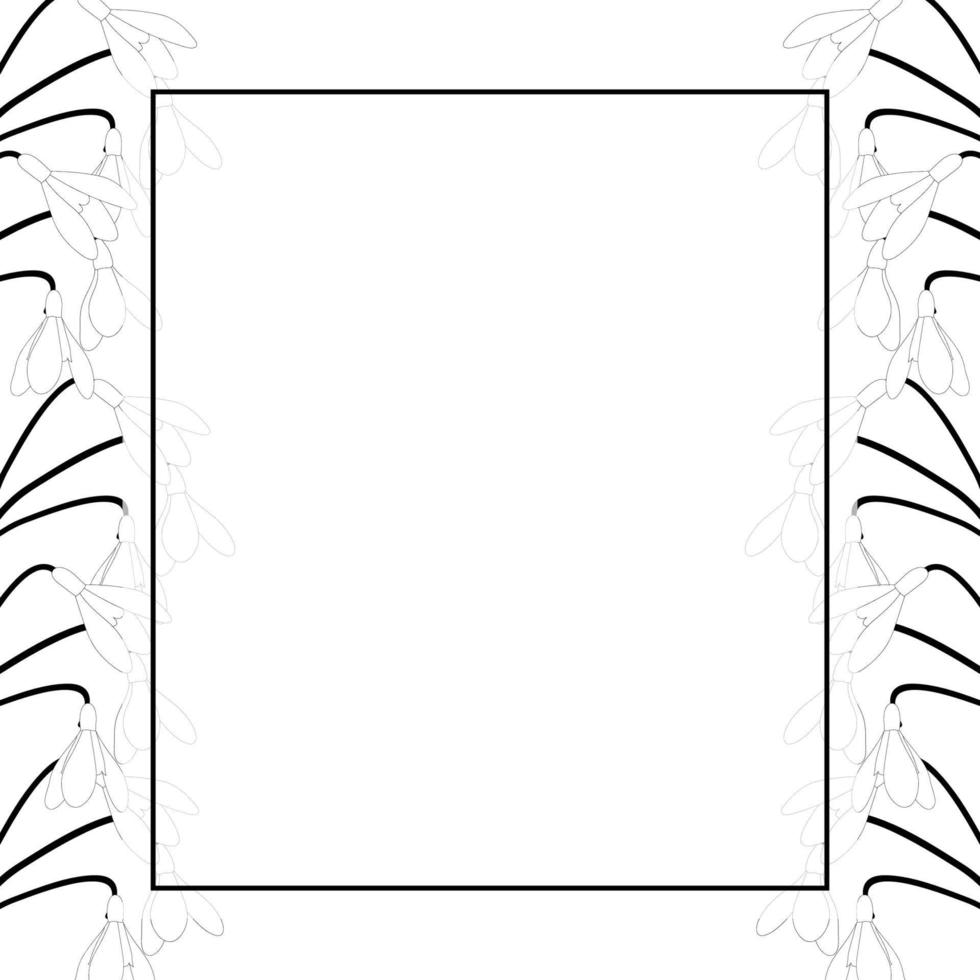 contorno de borde de tarjeta de banner de campanilla blanca vector