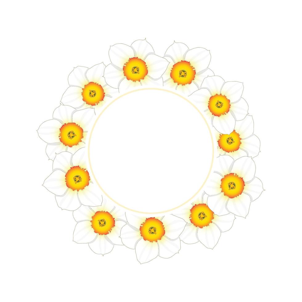 White Daffodil - Narcissus Flower Banner Wreath vector