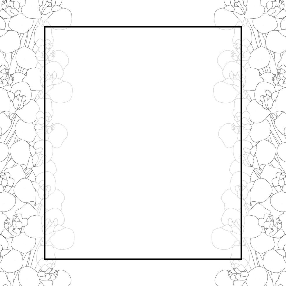 Iris Flower Outline Banner Card Border vector