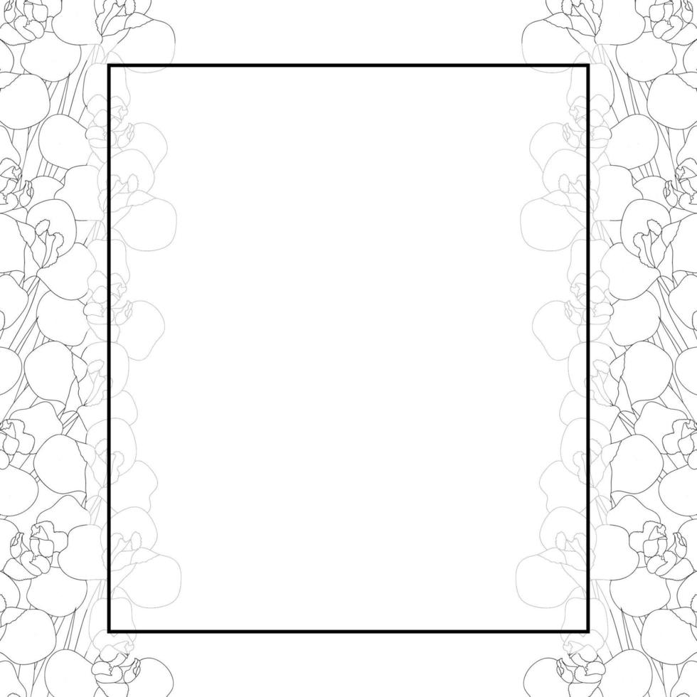 Iris Flower Outline Banner Card Border vector