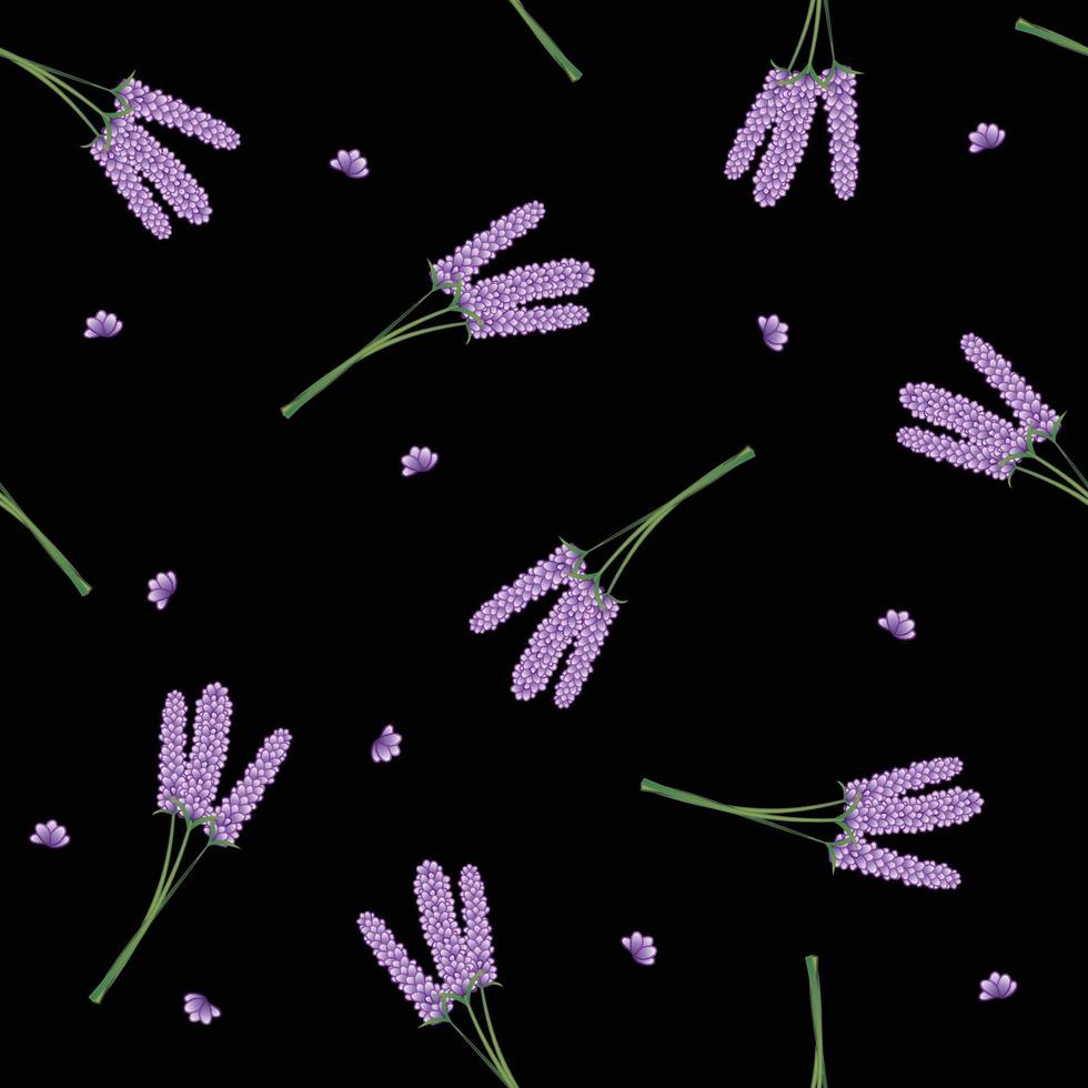 Lavender Flower on Black Background vector