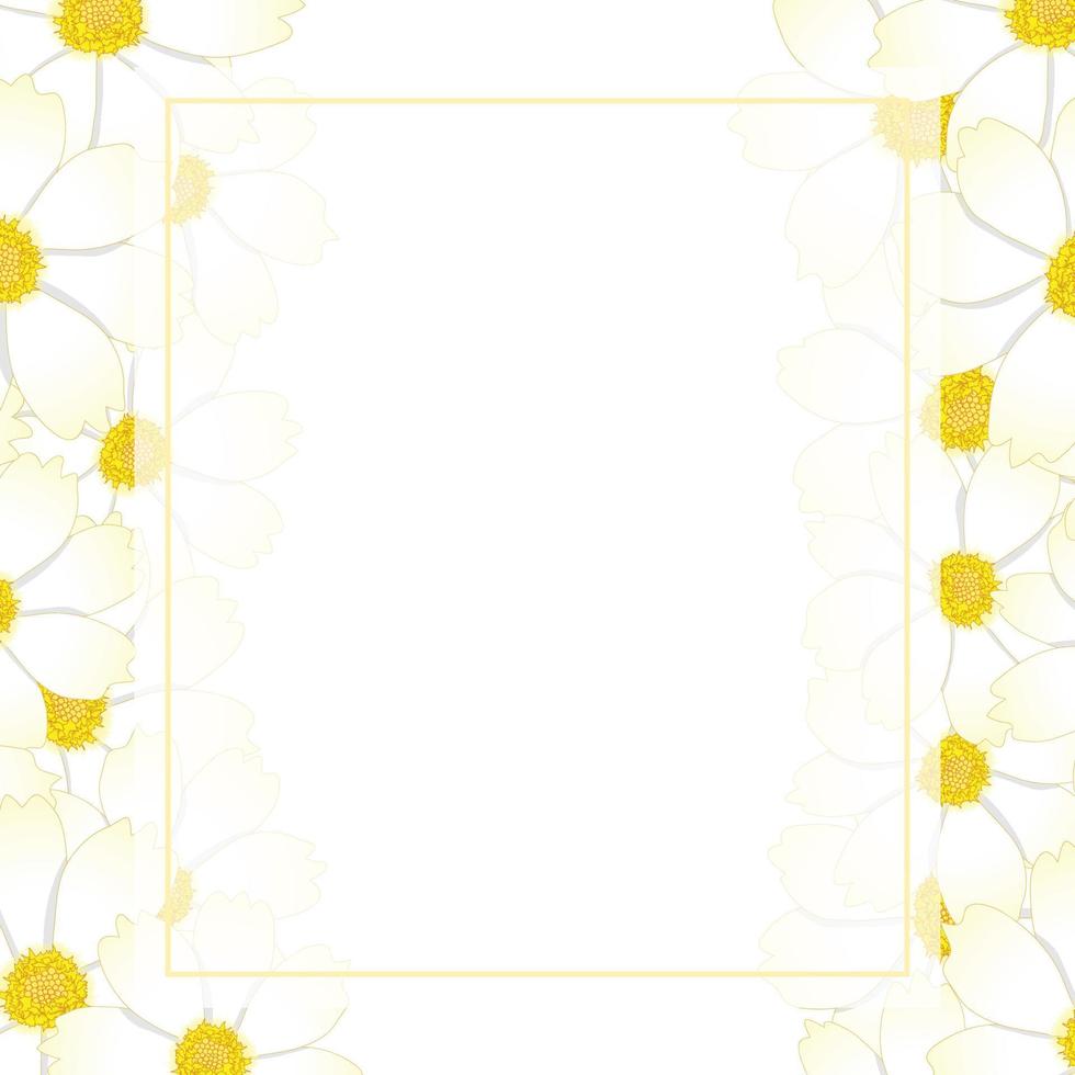 White Cosmos Flower Banner Card Border vector