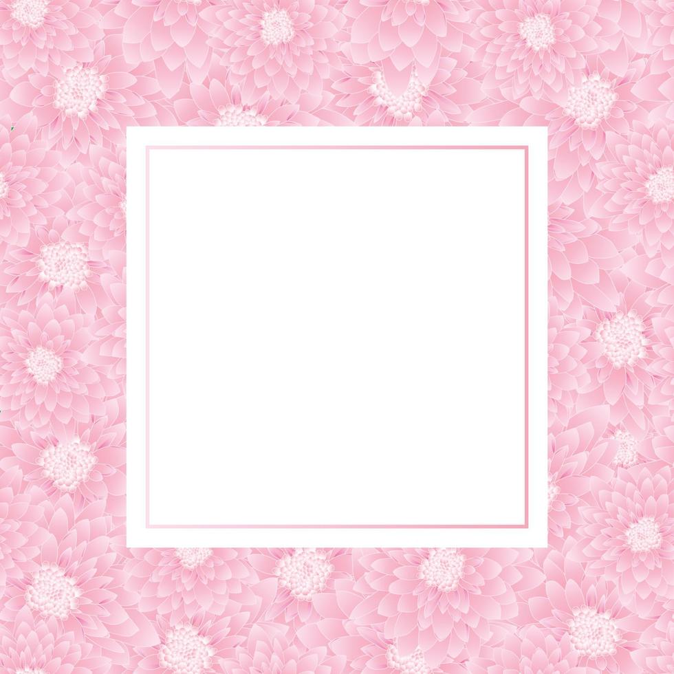 Pink Chrysanthemum Banner Card vector