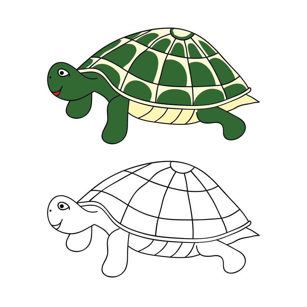 Ilustración de vector de tortuga verde.