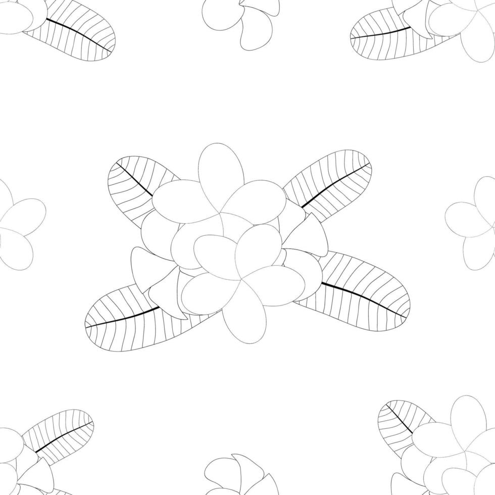 Plumeria on White Background vector