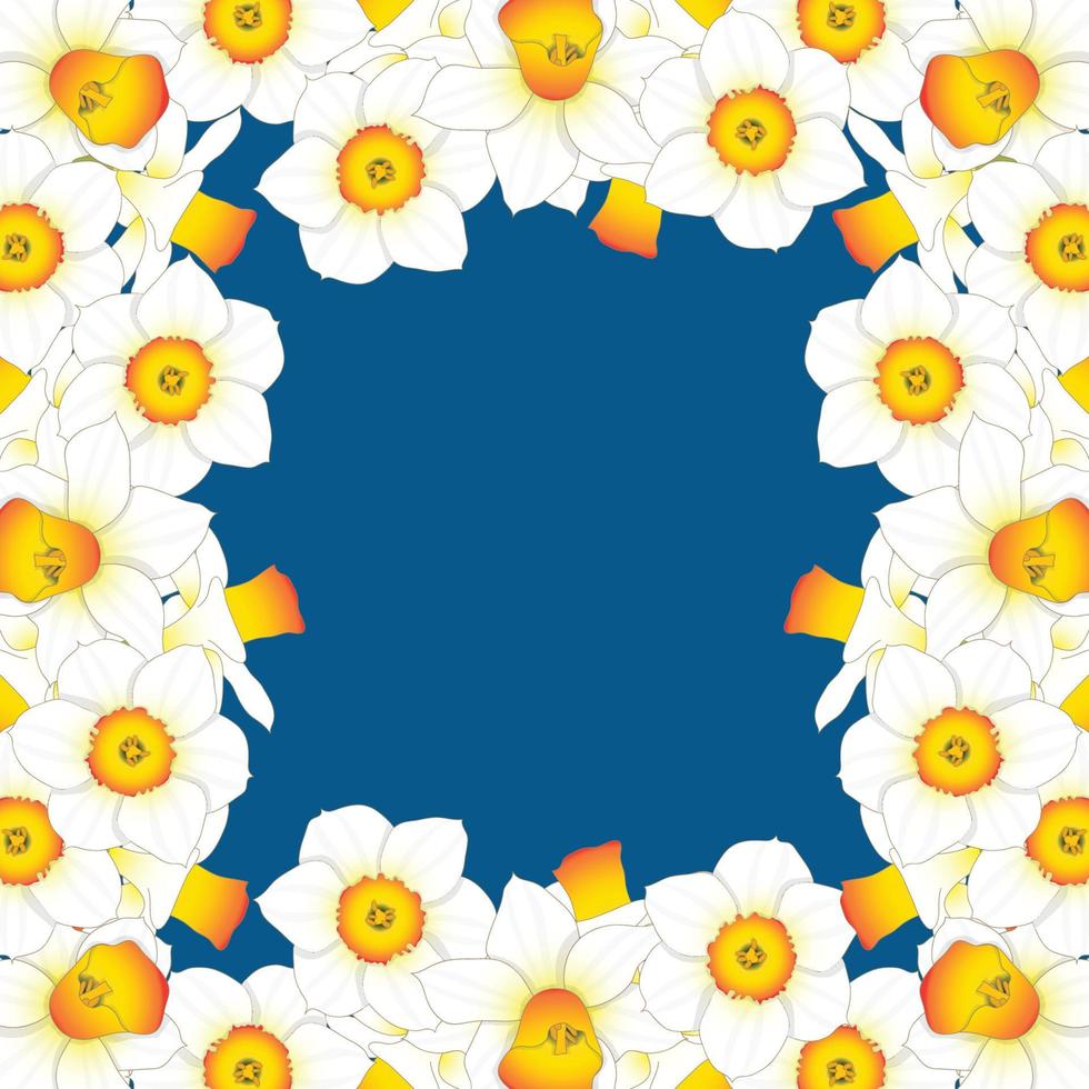 Daffodill - Narcissus Border on Indigo Blue Background2 vector